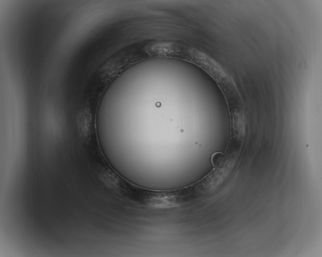 X0000102370760200808011513