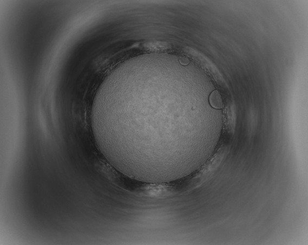 X0000102370762200808011513