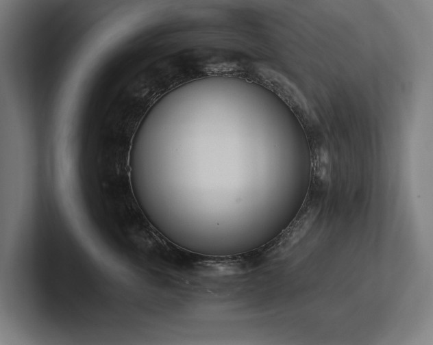 X0000102370763200808011513