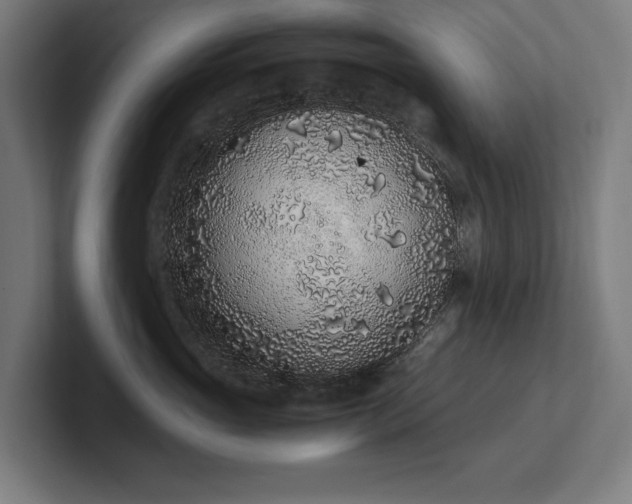 X0000102370765200808011513
