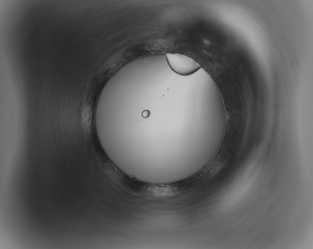 X0000102370767200808011513
