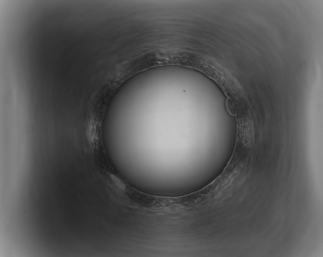 X0000102370770200808011512