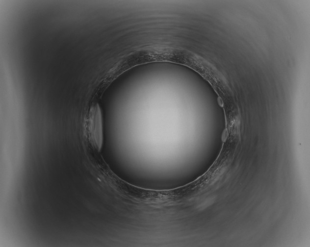 X0000102370772200808011512