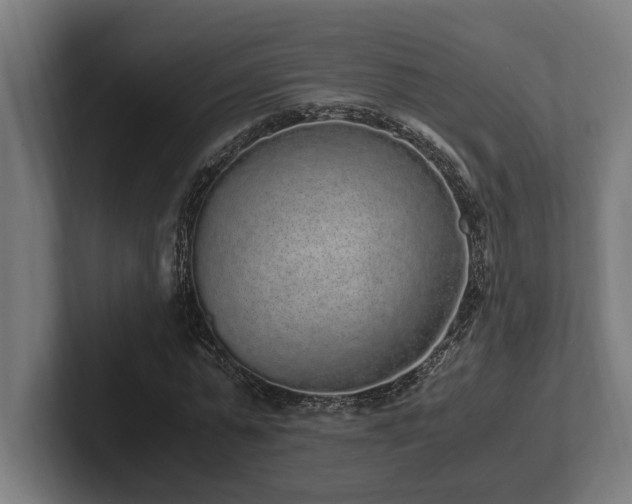 X0000102370775200808011512