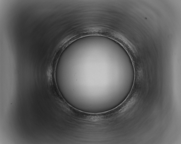 X0000102370778200808011512