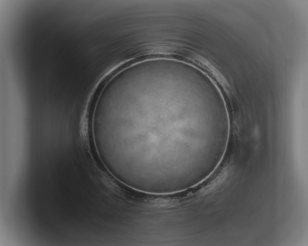 X0000102370779200808011512