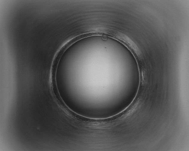 X0000102370780200808011512