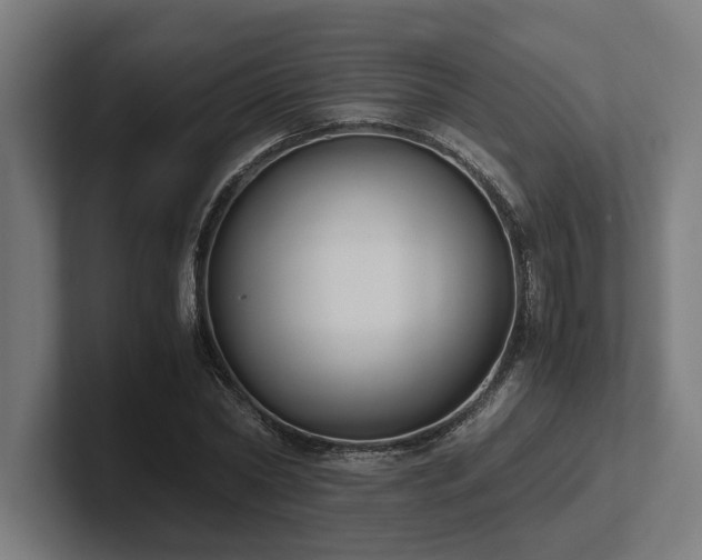 X0000102370782200808011512
