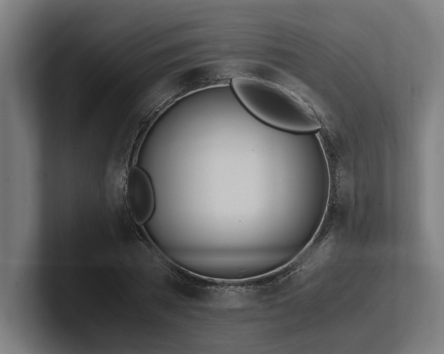 X0000102370785200808011512
