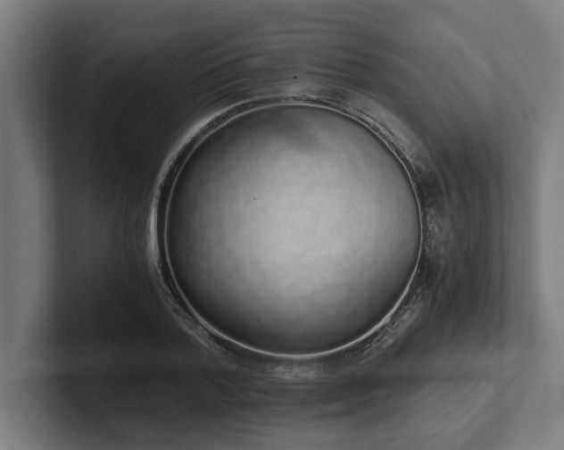 X0000102370788200808011512