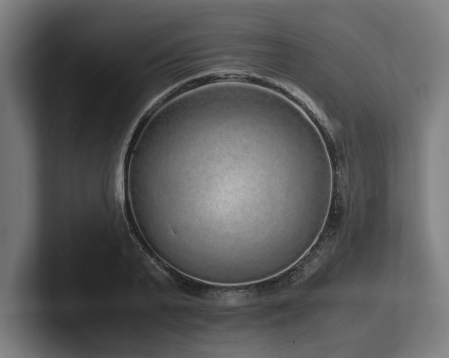 X0000102370791200808011512