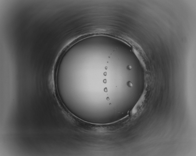 X0000102370792200808011512