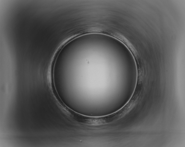 X0000102370795200808011512