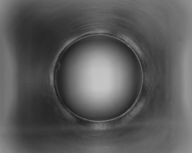 X0000102370797200808011512