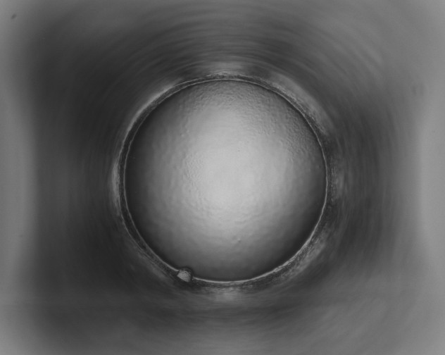X0000102370798200808011512