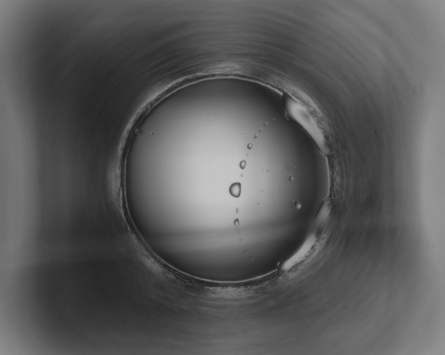 X0000102370800200808011512