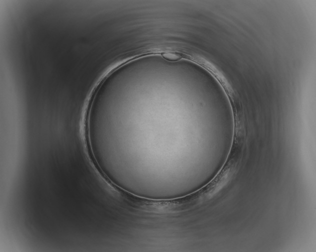 X0000102370803200808011512