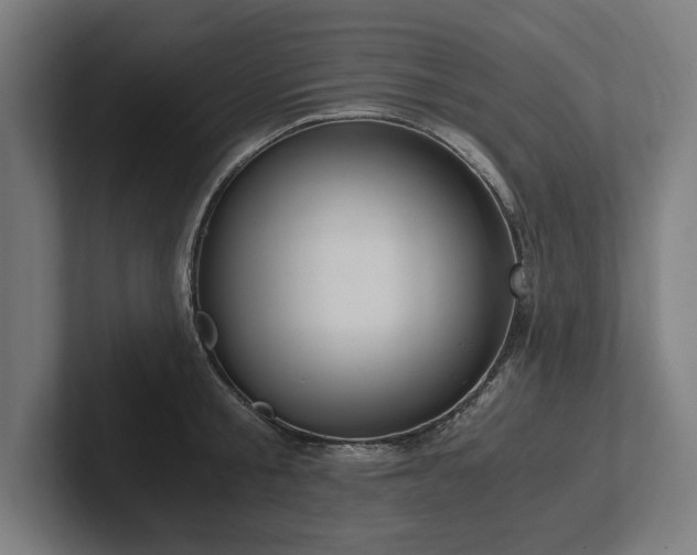 X0000102370805200808011512