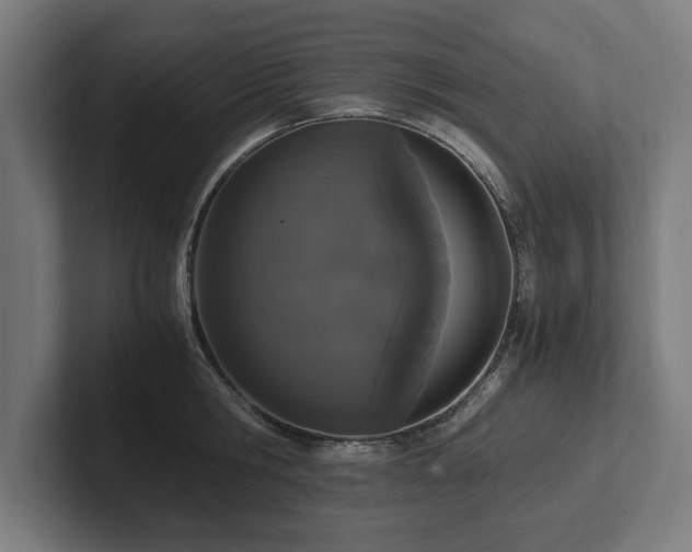 X0000102370806200808011512