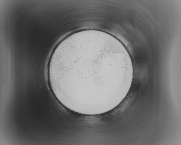 X0000102370807200808011512