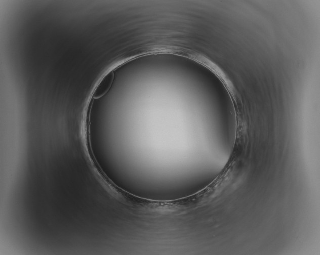 X0000102370811200808011512