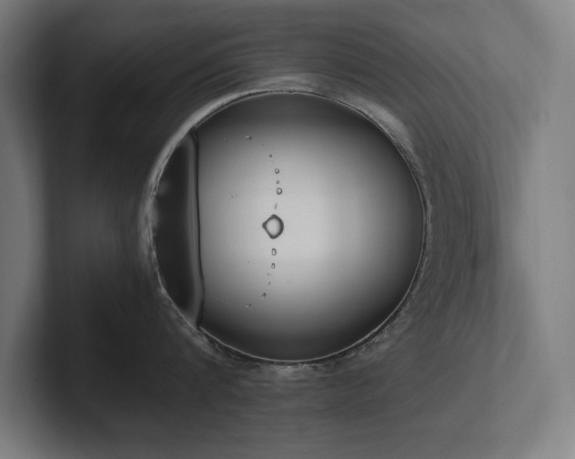X0000102370816200808011512