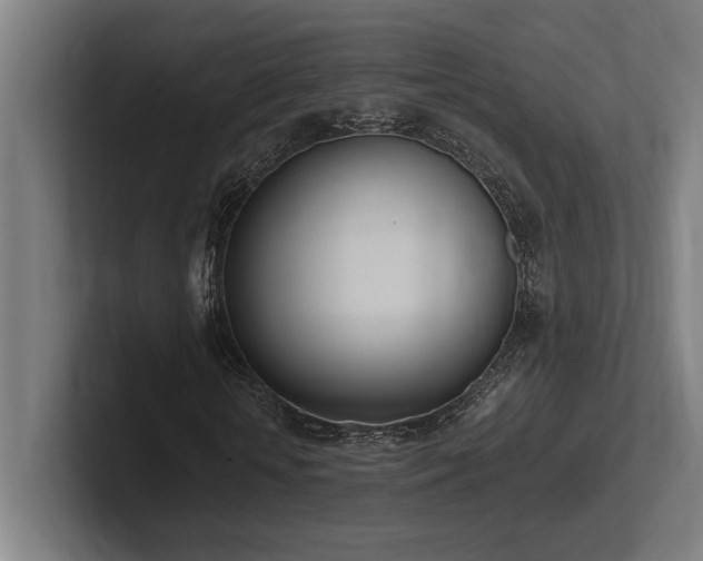 X0000102370818200808011511