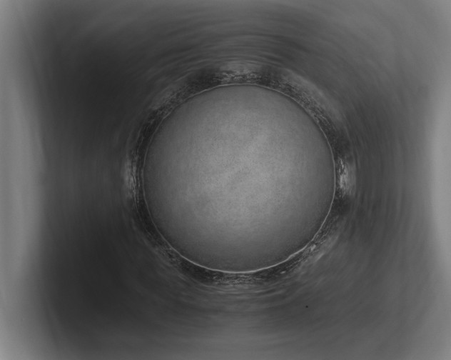 X0000102370819200808011511
