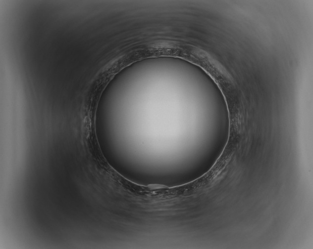 X0000102370821200808011511