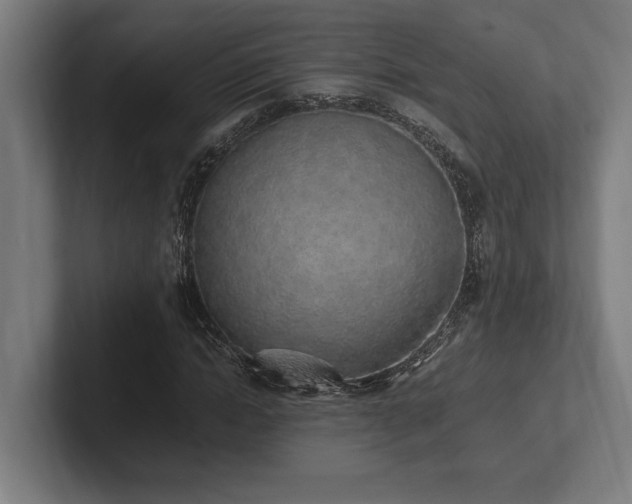 X0000102370822200808011511