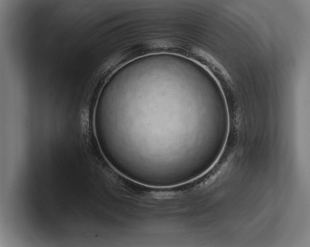 X0000102370825200808011511