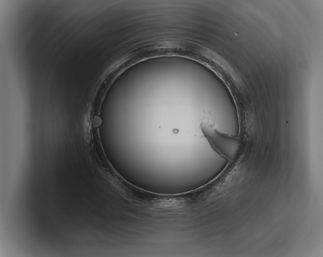 X0000102370826200808011511