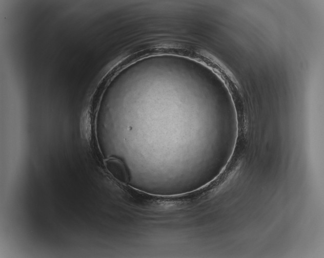 X0000102370829200808011511