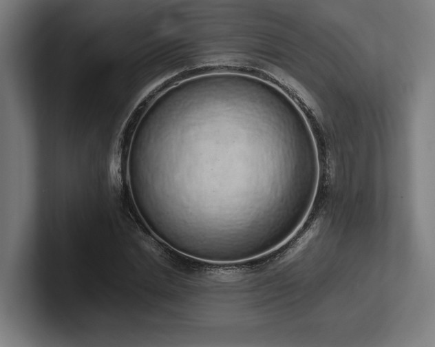 X0000102370830200808011511