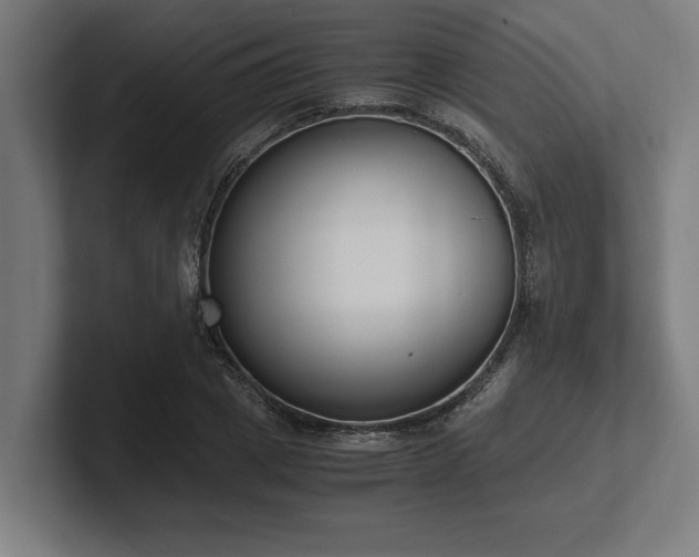 X0000102370833200808011511