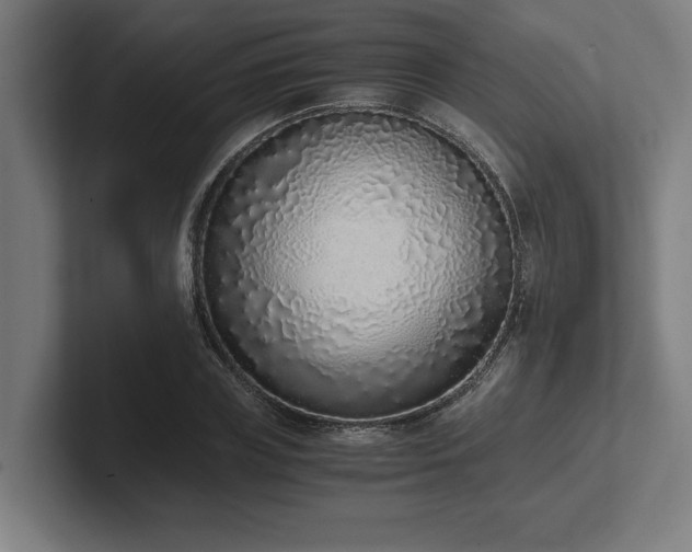 X0000102370835200808011511