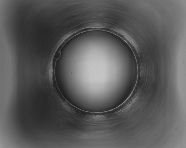 X0000102370837200808011511