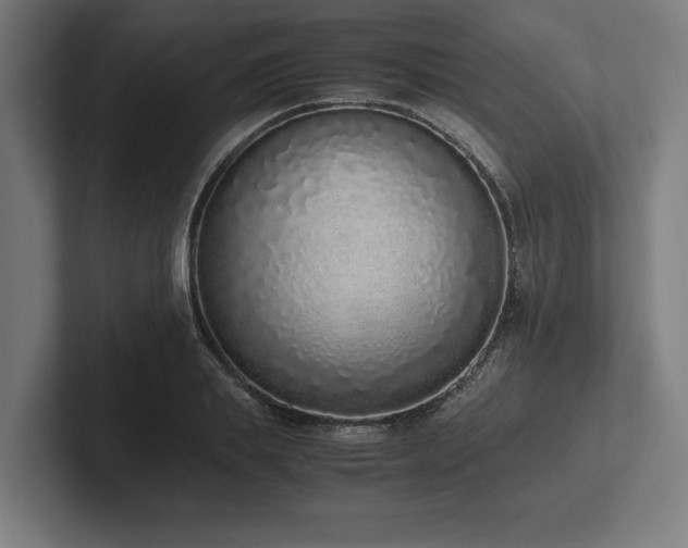 X0000102370839200808011511