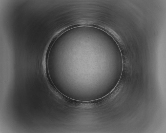 X0000102370840200808011511