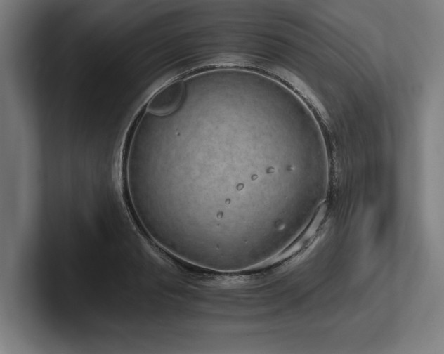 X0000102370845200808011511