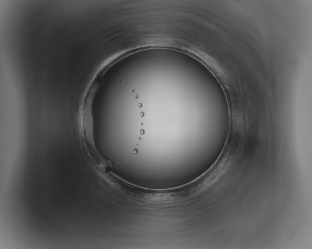 X0000102370846200808011511