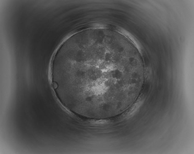X0000102370851200808011512