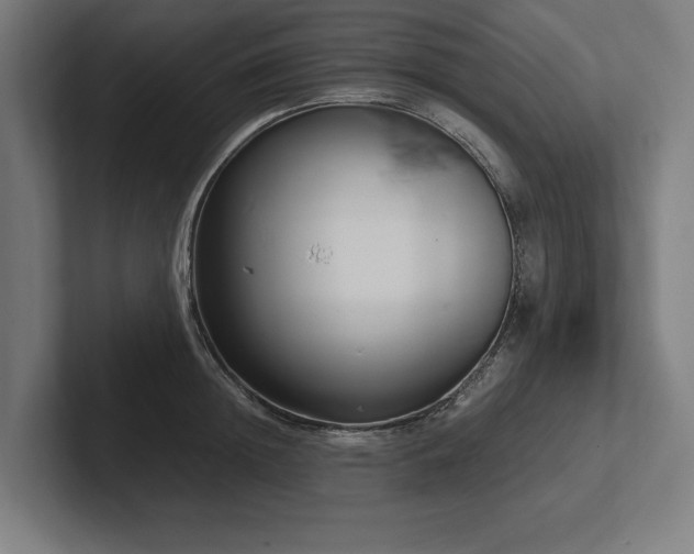 X0000102370852200808011512