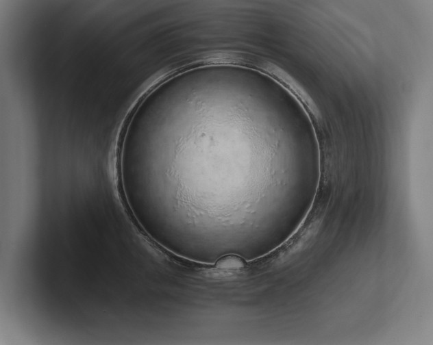 X0000102370853200808011512