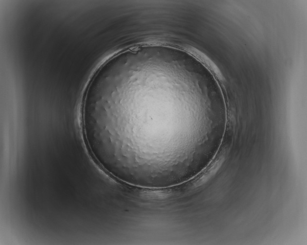 X0000102370855200808011512