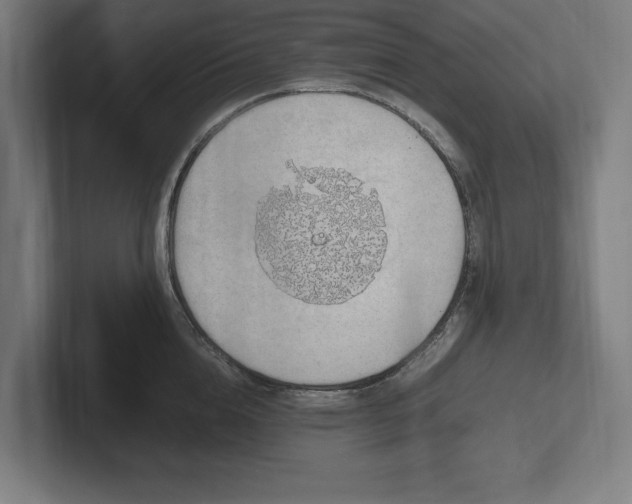X0000102370856200808011512