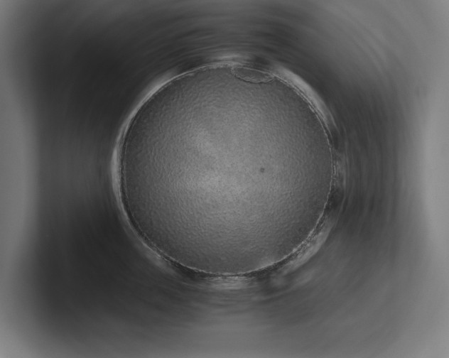 X0000102370859200808011512