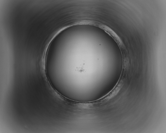 X0000102370860200808011512