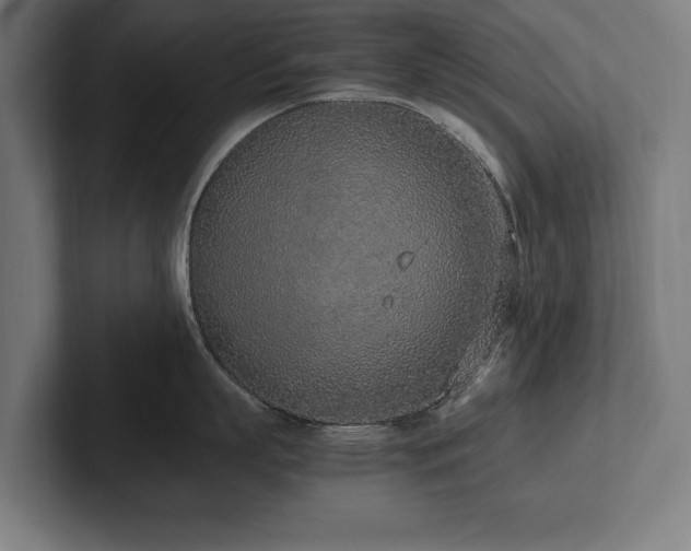 X0000102370863200808011512