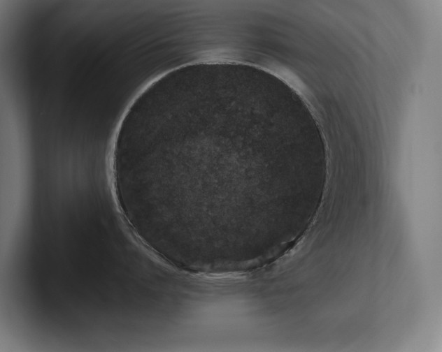 X0000102370864200808011512